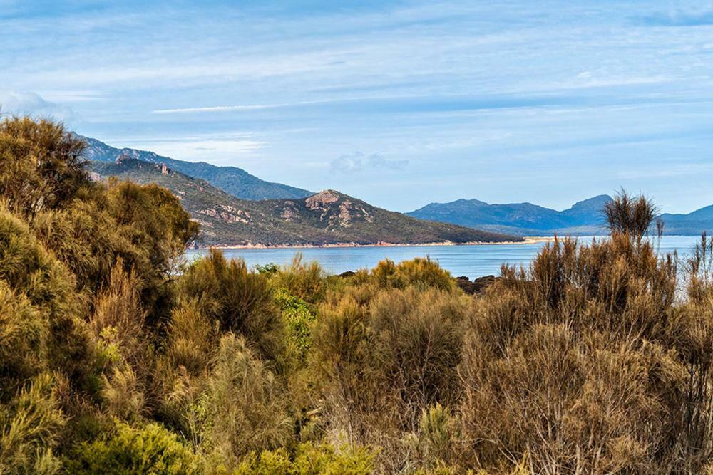 Freycinet Dream Villa Coles Bay Esterno foto